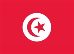 [ai] The flag of Tunisia features a red background with a white circle at the center, containing a red crescent and a red five-pointed star.